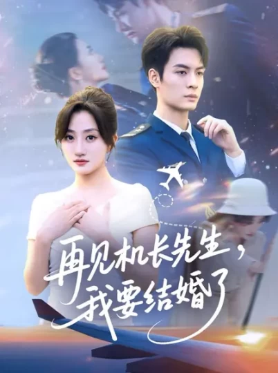 再见机长先生，我要结婚了